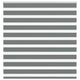 Vidaxl Zebra Rouleau aveugle 150x100 cm Largeur de poussière 145,9 cm Gris foncé