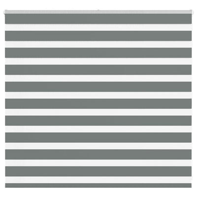 Vidaxl Zebra Rouleau aveugle 155x100 cm Largeur de tissu 150,9 cm gris foncé