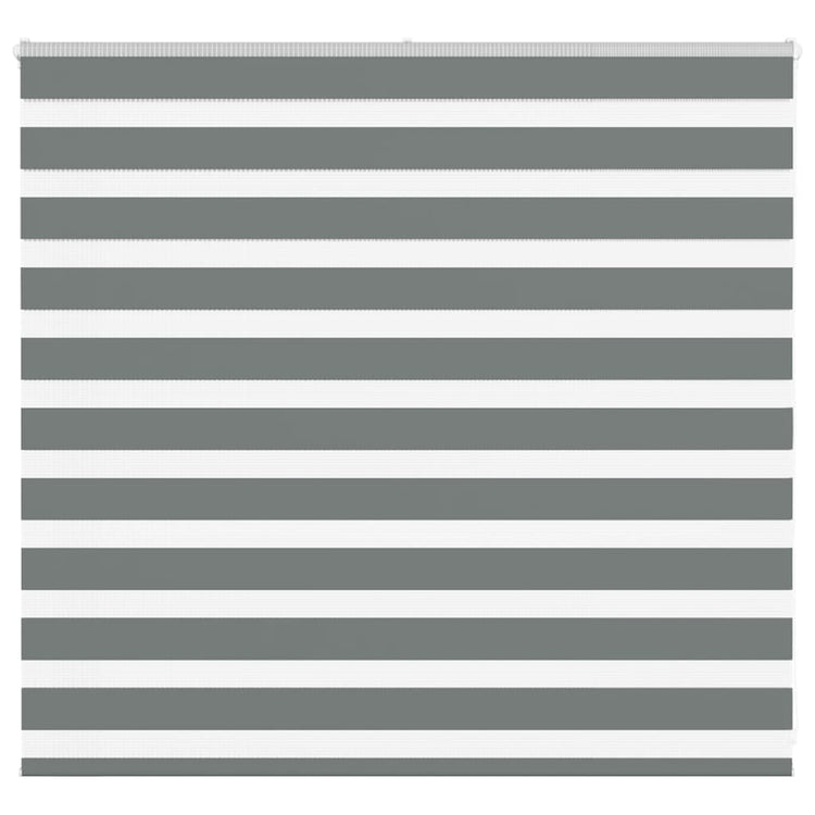 Vidaxl Zebra Rouleau aveugle 155x100 cm Largeur de tissu 150,9 cm gris foncé