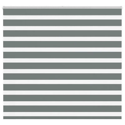 Vidaxl Zebra Rouleau aveugle 160x100 cm Largeur de tissu 155,9 cm Gris foncé