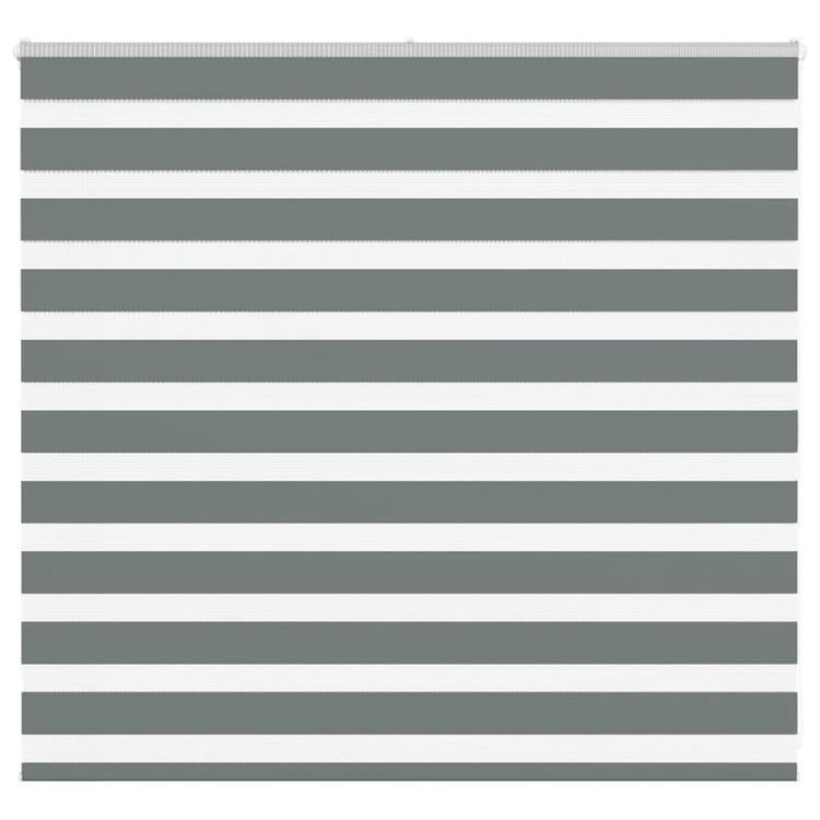Vidaxl Zebra Rouleau aveugle 165x100 cm Largeur de tissu 160,9 cm gris foncé