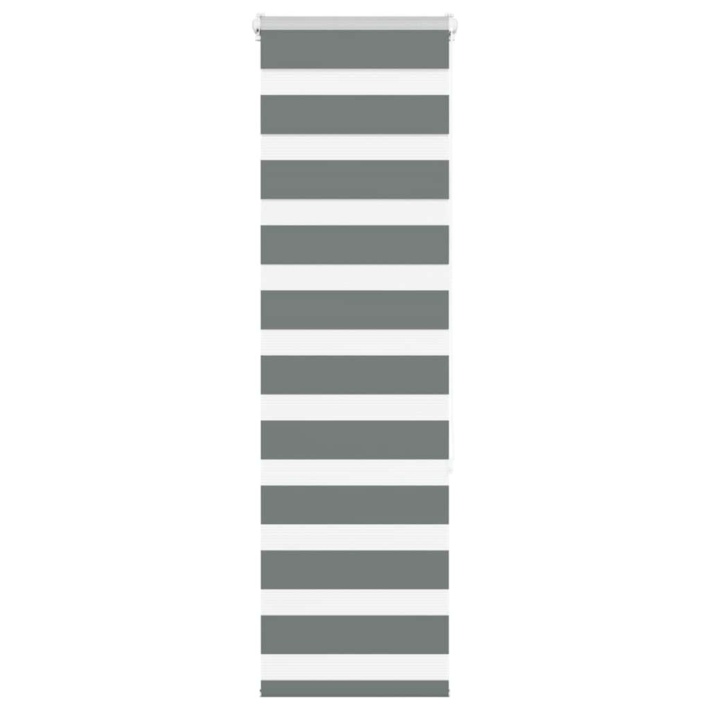 Vidaxl Zebra Rouleau aveugle 40x150 cm Largeur de poussière 35,9 cm gris foncé