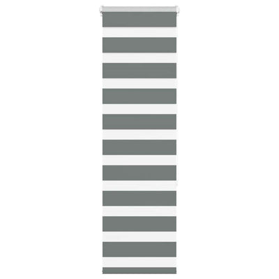 Vidaxl Zebra Rouleau aveugle 40x150 cm Largeur de poussière 35,9 cm gris foncé