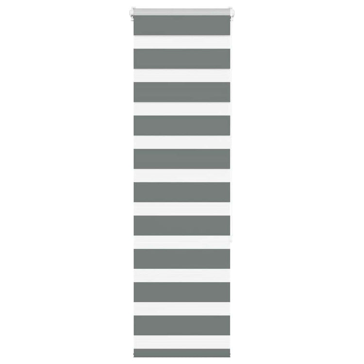 Vidaxl Zebra Rouleau aveugle 40x150 cm Largeur de poussière 35,9 cm gris foncé