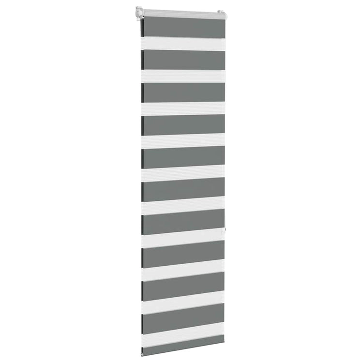 Vidaxl Zebra Rouleau aveugle 40x150 cm Largeur de poussière 35,9 cm gris foncé