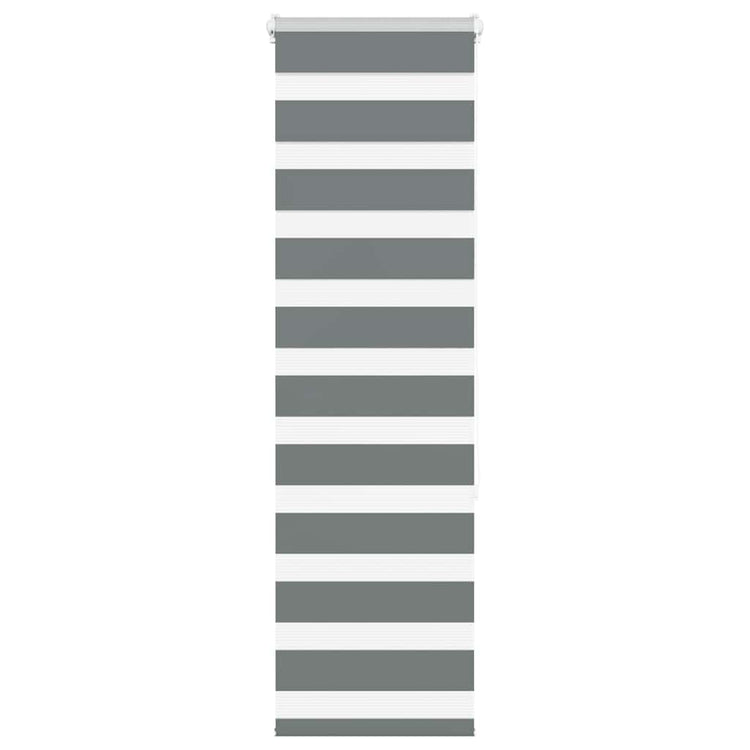 Vidaxl Zebra Rouleau aveugle 50x150 cm Largeur de tissu 45,9 cm gris foncé