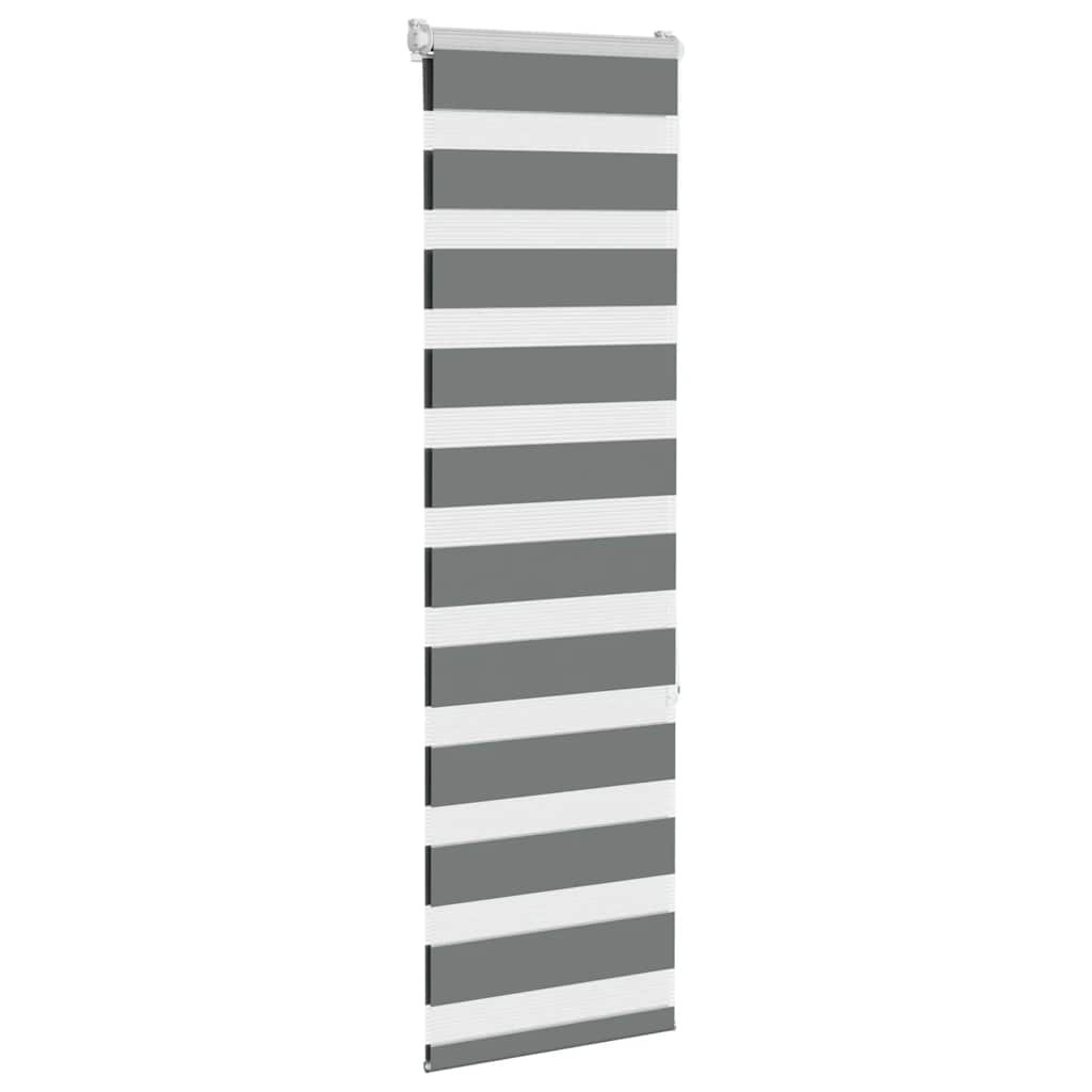 Vidaxl Zebra Rouleau aveugle 50x150 cm Largeur de tissu 45,9 cm gris foncé