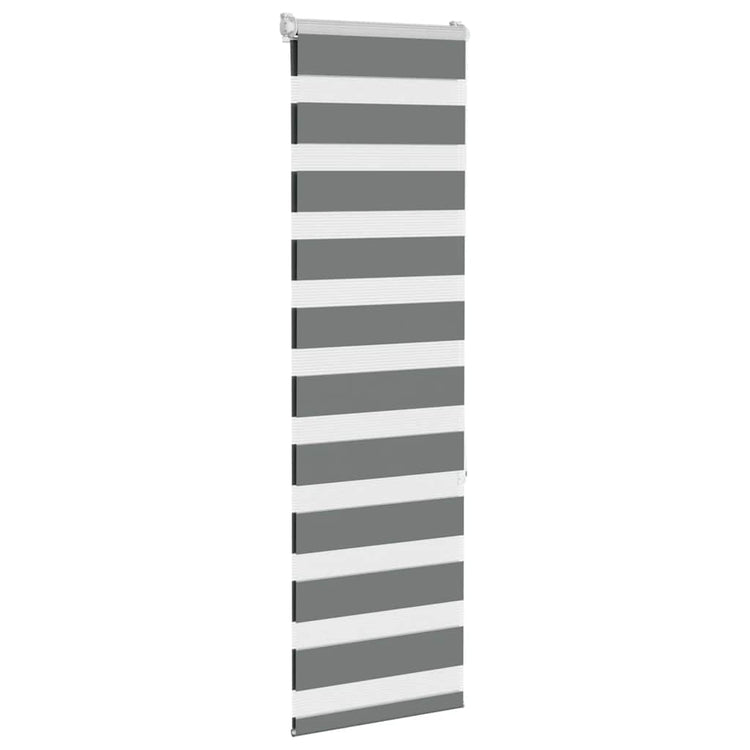 Vidaxl Zebra Rouleau aveugle 50x150 cm Largeur de tissu 45,9 cm gris foncé
