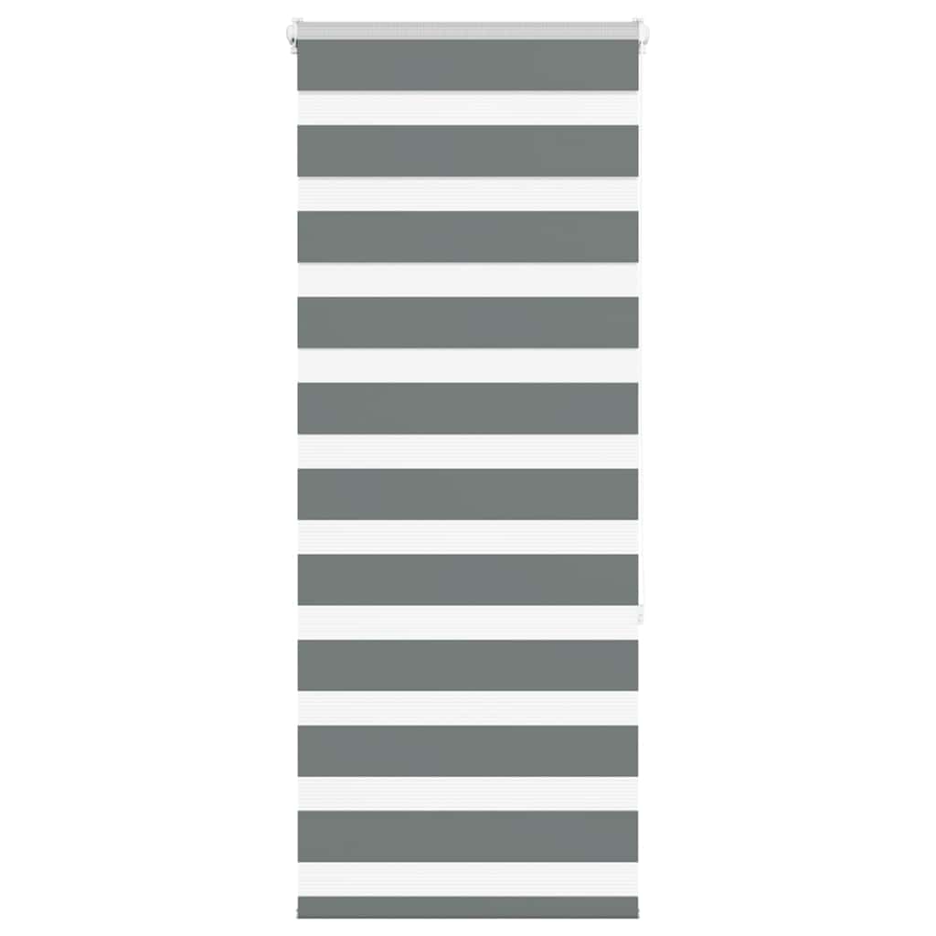 Vidaxl Zebra Rouleau aveugle 55x150 cm Largeur de poussière 50,9 cm gris foncé
