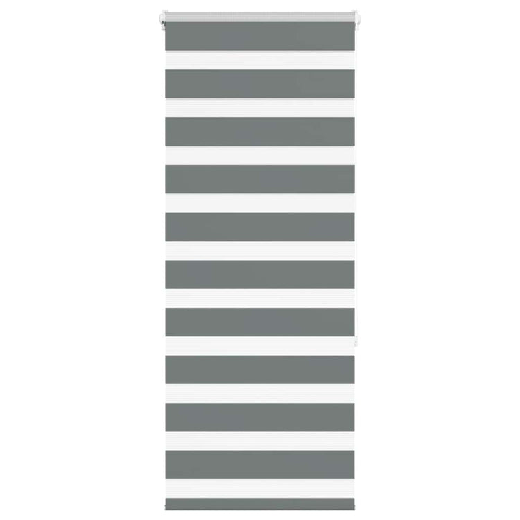 Vidaxl Zebra Rouleau aveugle 55x150 cm Largeur de poussière 50,9 cm gris foncé