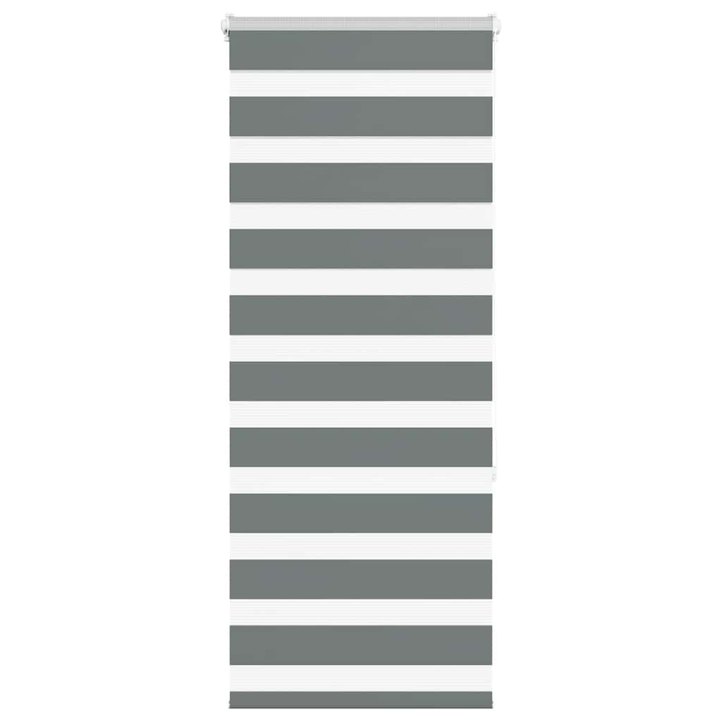 VidaXL store enrouleur zèbre 60x150 cm largeur du tissu gris foncé 55,9 cm
