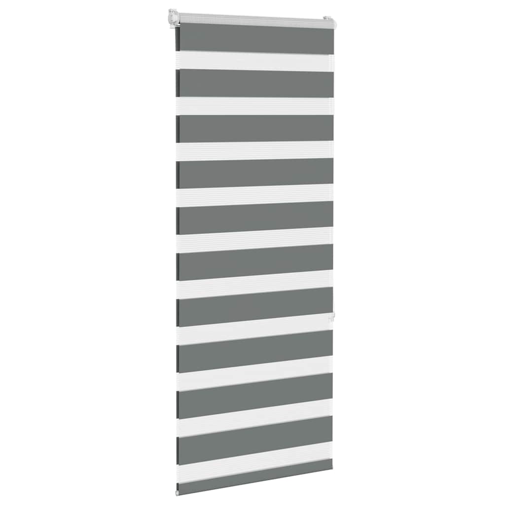 VidaXL store enrouleur zèbre 60x150 cm largeur du tissu gris foncé 55,9 cm