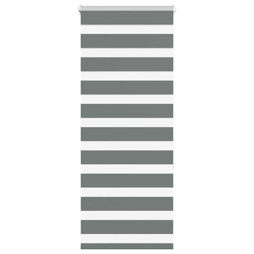 Vidaxl Zebra Rouleau aveugle 65x150 cm Largeur de tissu 60,9 cm Gris foncé