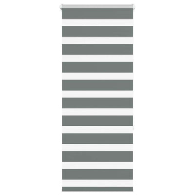 Vidaxl Zebra Rouleau aveugle 65x150 cm Largeur de tissu 60,9 cm Gris foncé