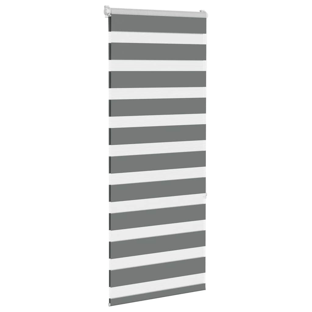 Vidaxl Zebra Rouleau aveugle 65x150 cm Largeur de tissu 60,9 cm Gris foncé