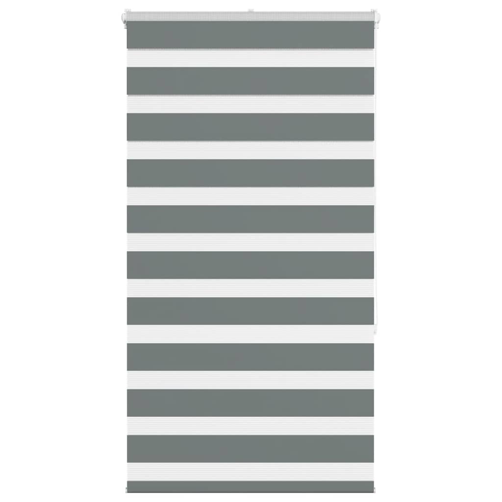 Vidaxl Zebra Rouleau aveugle 70x150 cm Largeur de poussière 65,9 cm Gris foncé