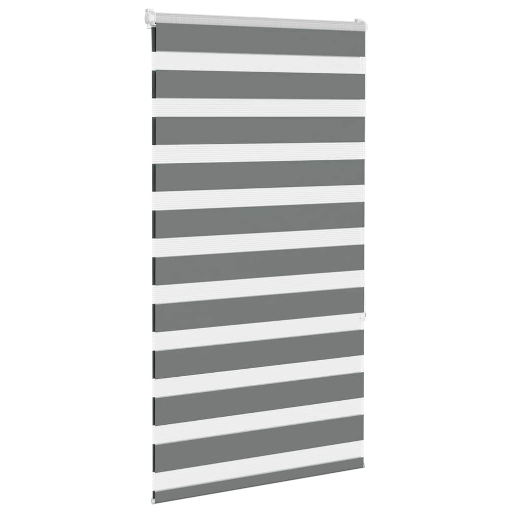 Vidaxl Zebra Rouleau aveugle 70x150 cm Largeur de poussière 65,9 cm Gris foncé