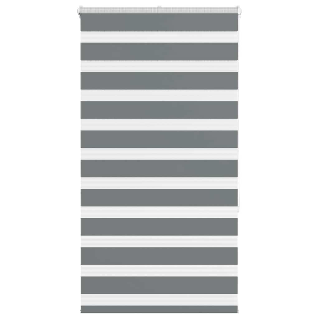 Vidaxl Zebra Rouleau aveugle 75x150 cm Largeur de tissu 70,9 cm gris foncé