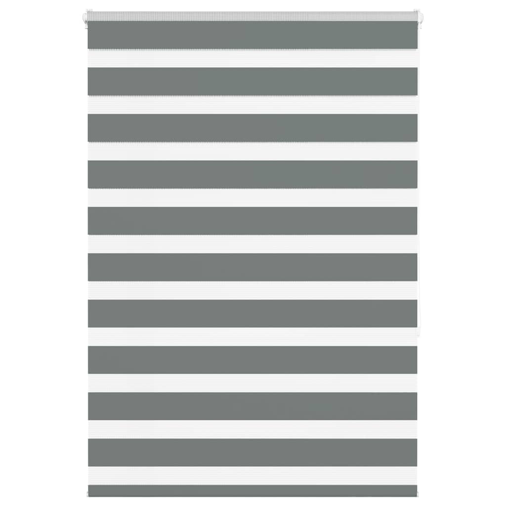 Vidaxl Zebra Rouleau aveugle 100x150 cm Largeur de poussière 95,9 cm gris foncé