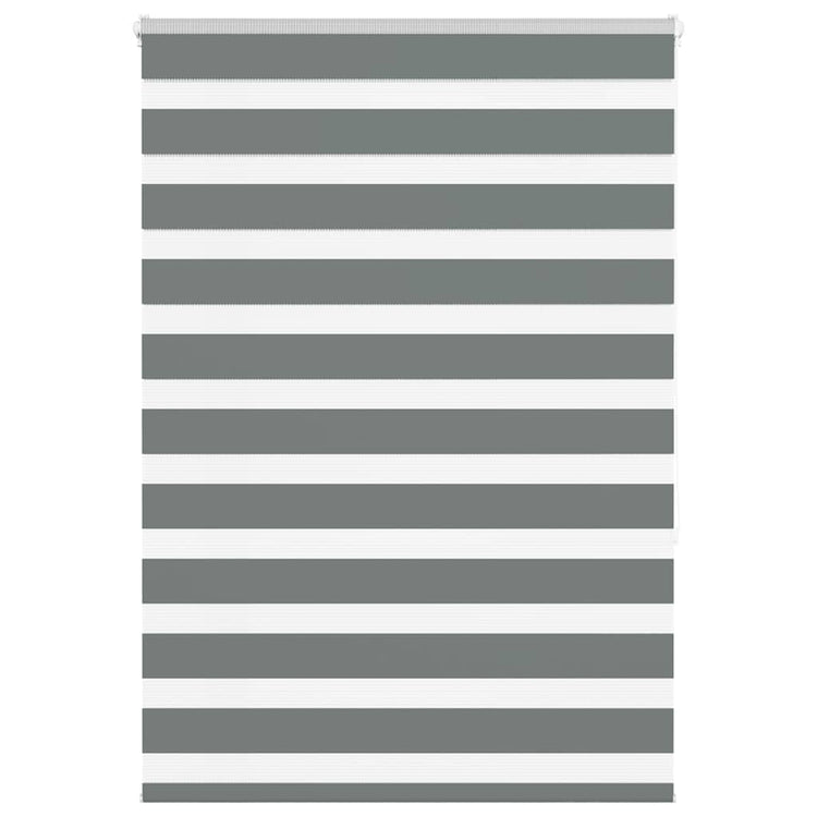 Vidaxl Zebra Rouleau aveugle 100x150 cm Largeur de poussière 95,9 cm gris foncé