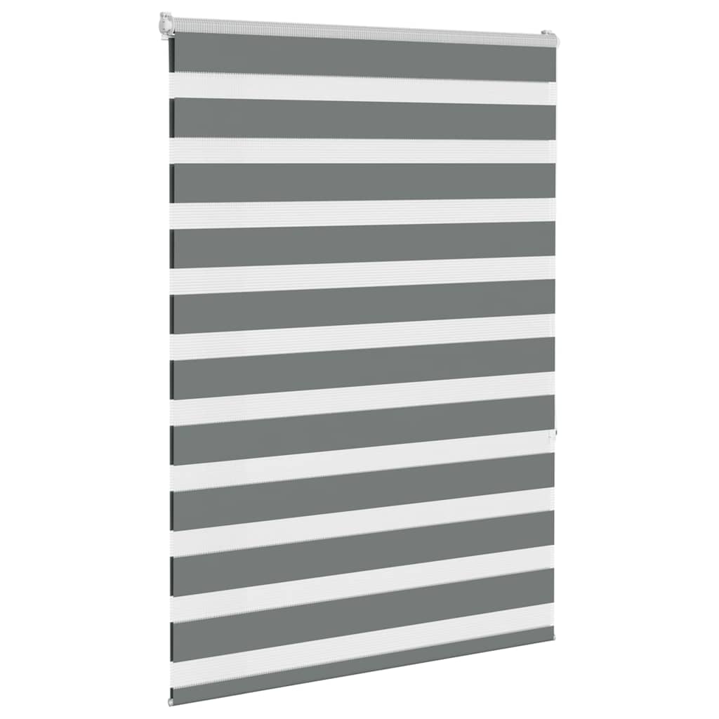 Vidaxl Zebra Rouleau aveugle 100x150 cm Largeur de poussière 95,9 cm gris foncé