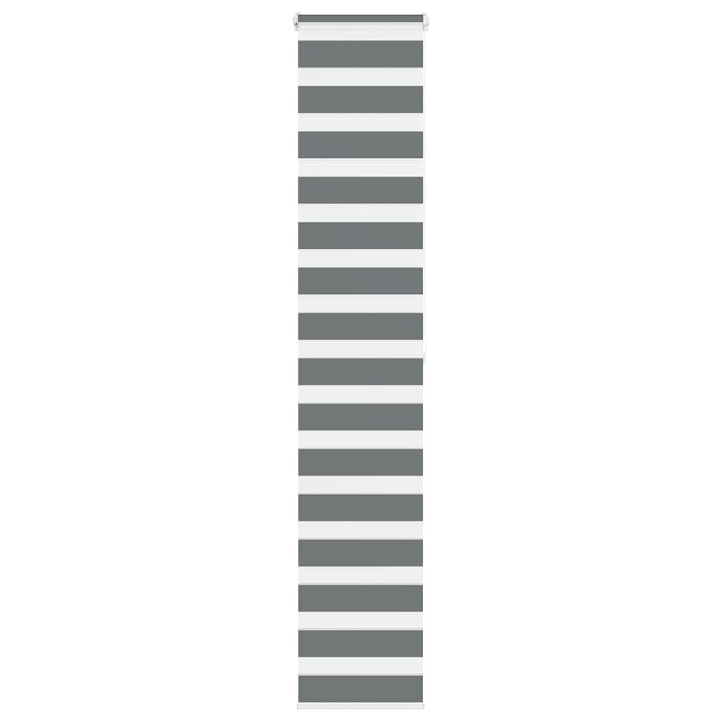 Vidaxl Zebra Rouleau aveugle 40x200 cm Largeur de poussière 35,9 cm Gris foncé