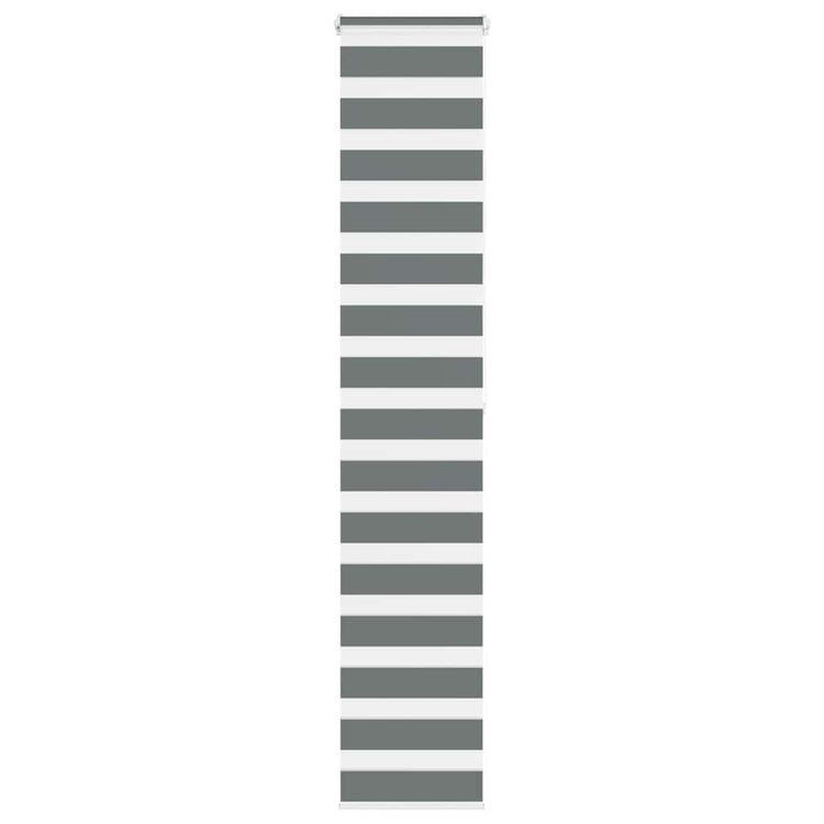 Vidaxl Zebra Rouleau aveugle 40x200 cm Largeur de poussière 35,9 cm Gris foncé