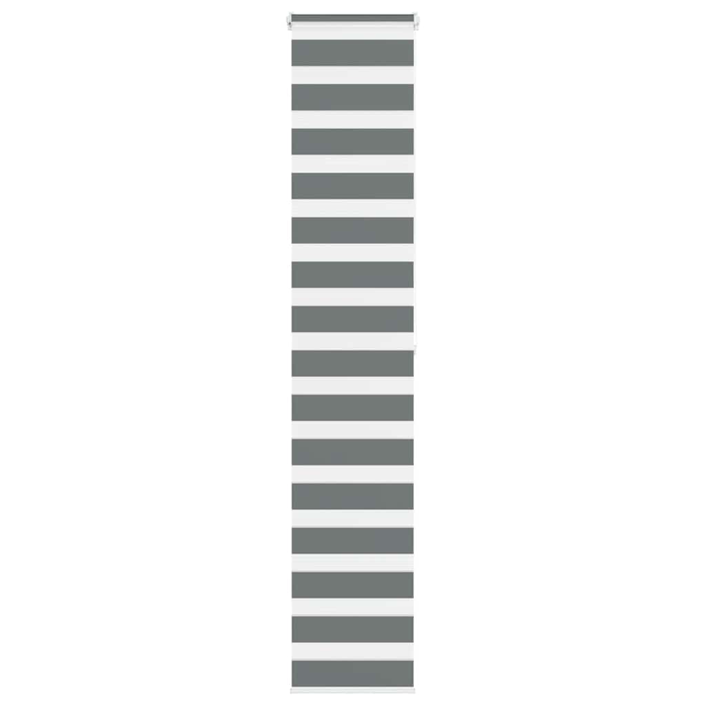 Vidaxl Zebra Rouleau aveugle 50x200 cm Largeur de poussière 45,9 cm gris foncé