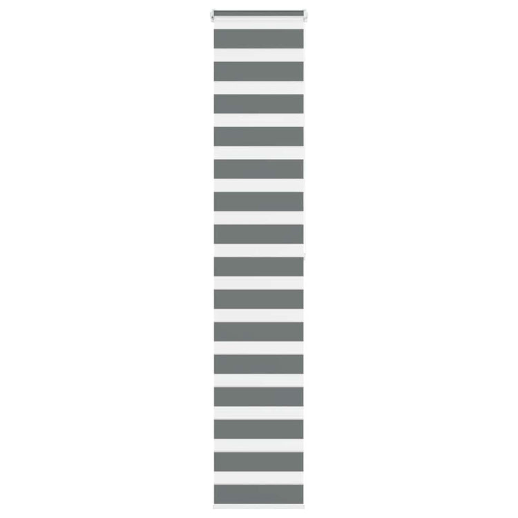 Vidaxl Zebra Rouleau aveugle 50x200 cm Largeur de poussière 45,9 cm gris foncé