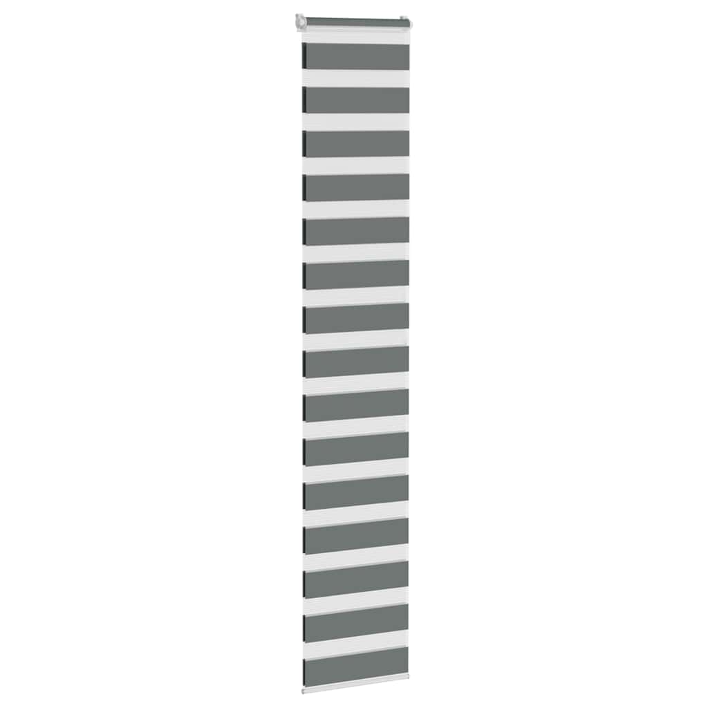 Vidaxl Zebra Rouleau aveugle 50x200 cm Largeur de poussière 45,9 cm gris foncé