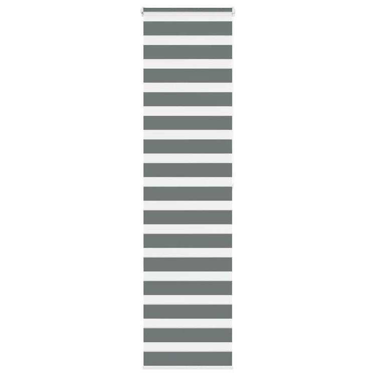 Vidaxl Zebra Rouleau aveugle 60x200 cm Largeur de poussière Gris foncé 55,9 cm