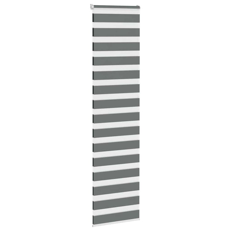 Vidaxl Zebra Rouleau aveugle 60x200 cm Largeur de poussière Gris foncé 55,9 cm