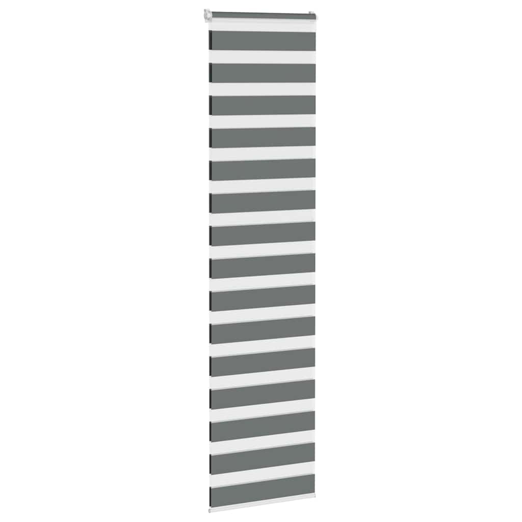 Vidaxl Zebra Rouleau aveugle 65x200 cm Largeur de tissu 60,9 cm Gris foncé