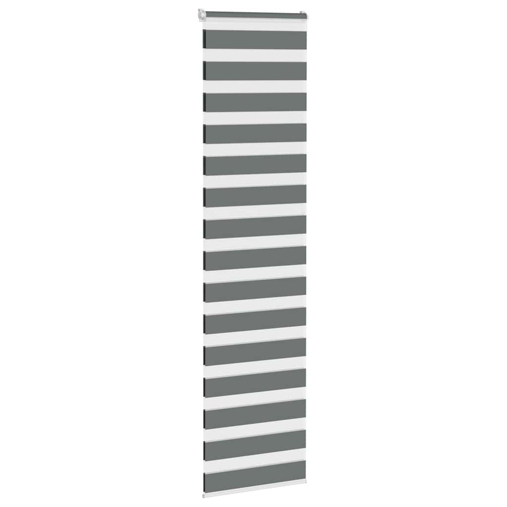 Vidaxl Zebra Rouleau aveugle 70x200 cm Largeur de poussière 65,9 cm Gris foncé