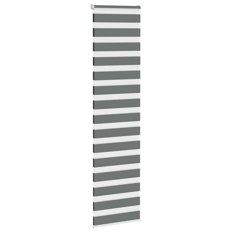 Vidaxl Zebra Rouleau aveugle 70x200 cm Largeur de poussière 65,9 cm Gris foncé