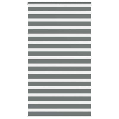 Vidaxl Zebra Rouleau aveugle 130x200 cm Largeur de tissu 125,9 cm Gris foncé