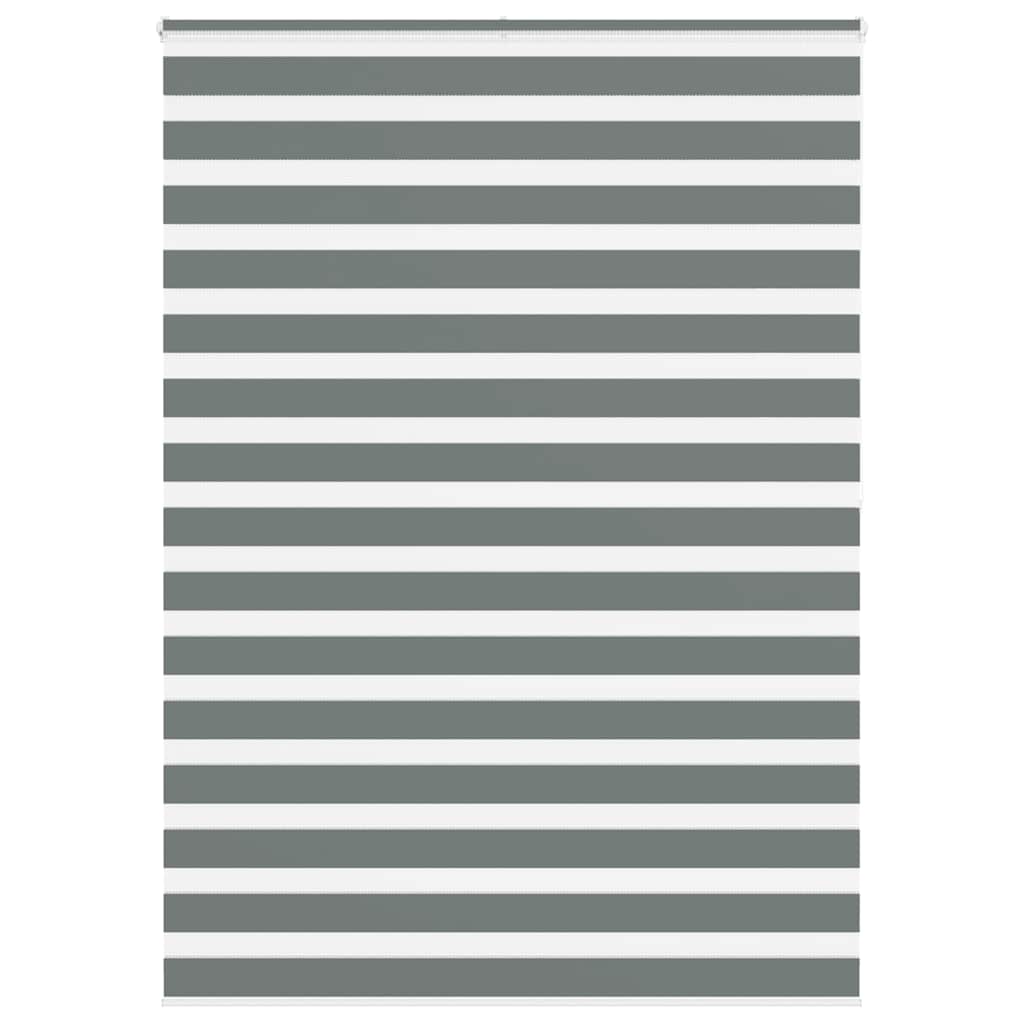 Vidaxl Zebra Rouleau aveugle 165x200 cm Largeur de tissu 160,9 cm Gris foncé