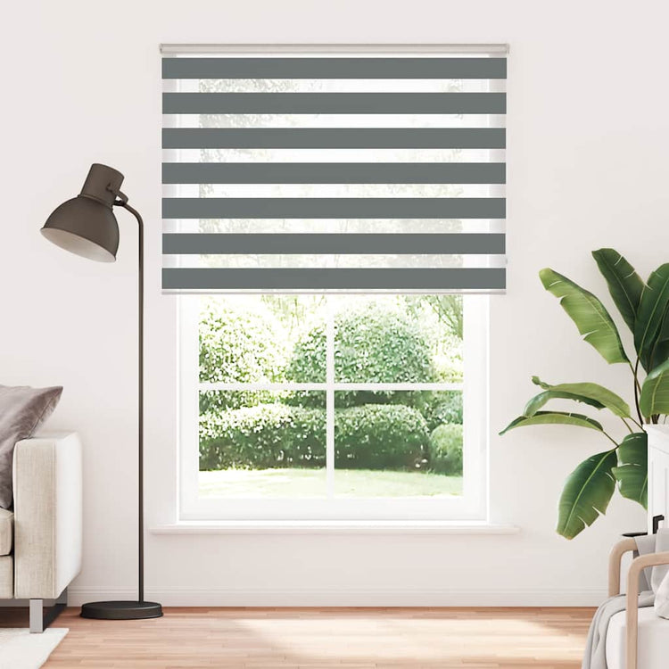 Vidaxl Zebra Rouleau aveugle 165x200 cm Largeur de tissu 160,9 cm Gris foncé