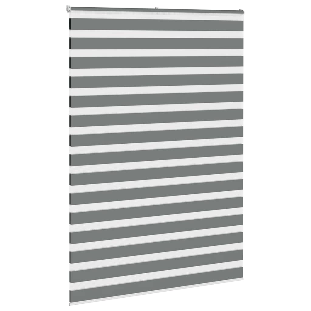 Vidaxl Zebra Rouleau aveugle 165x200 cm Largeur de tissu 160,9 cm Gris foncé