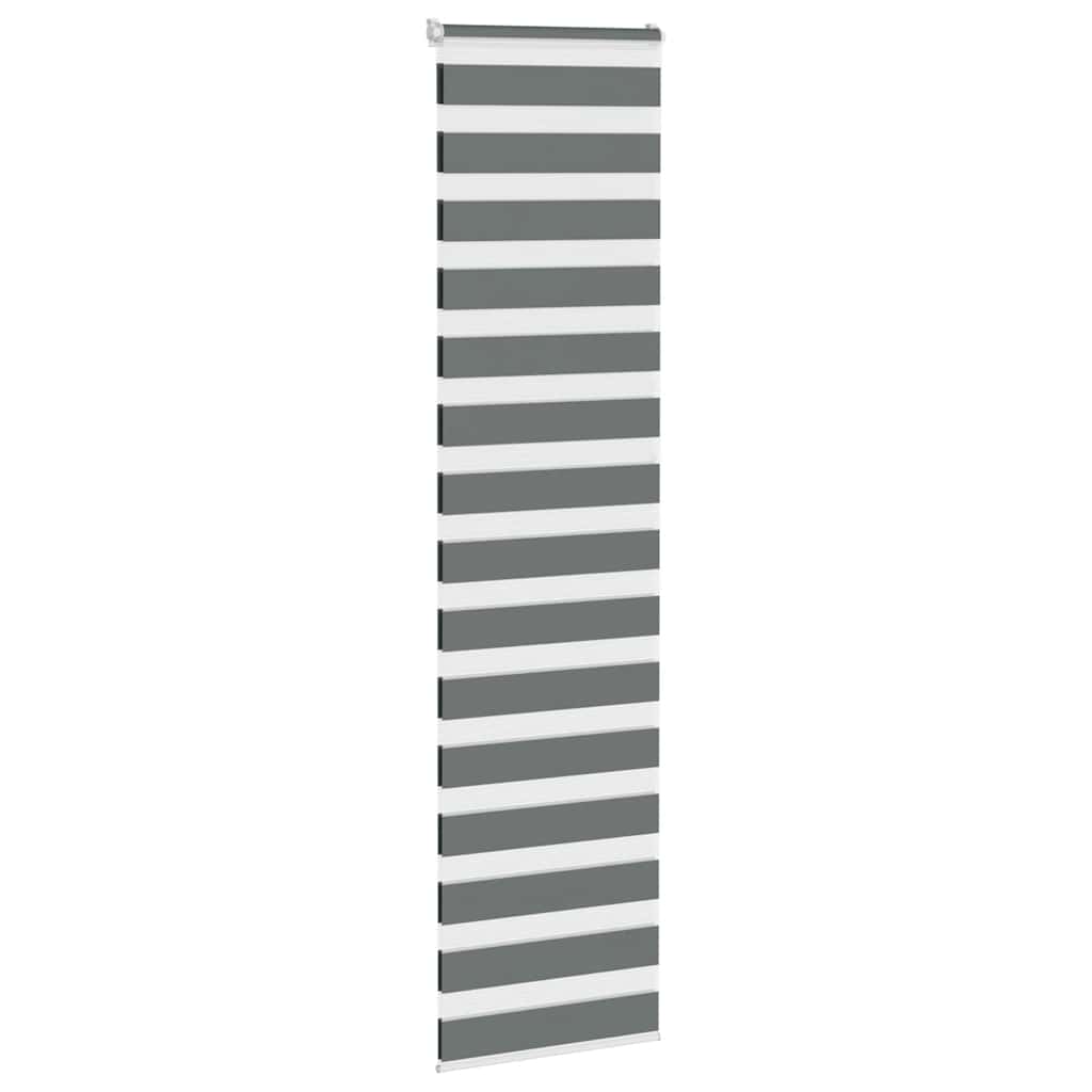 Vidaxl Zebra Rouleau aveugle 55x230 cm Largeur de tissu 50,9 cm Gris foncé
