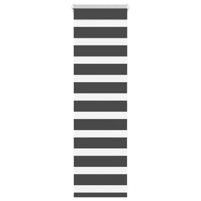 Vidaxl Zebra Rouleau aveugle 55x100 cm Largeur de poussière 50,9 cm noir