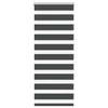 Vidaxl Zebra Rouleau aveugle 60x100 cm Largeur de poussière noir 55,9 cm