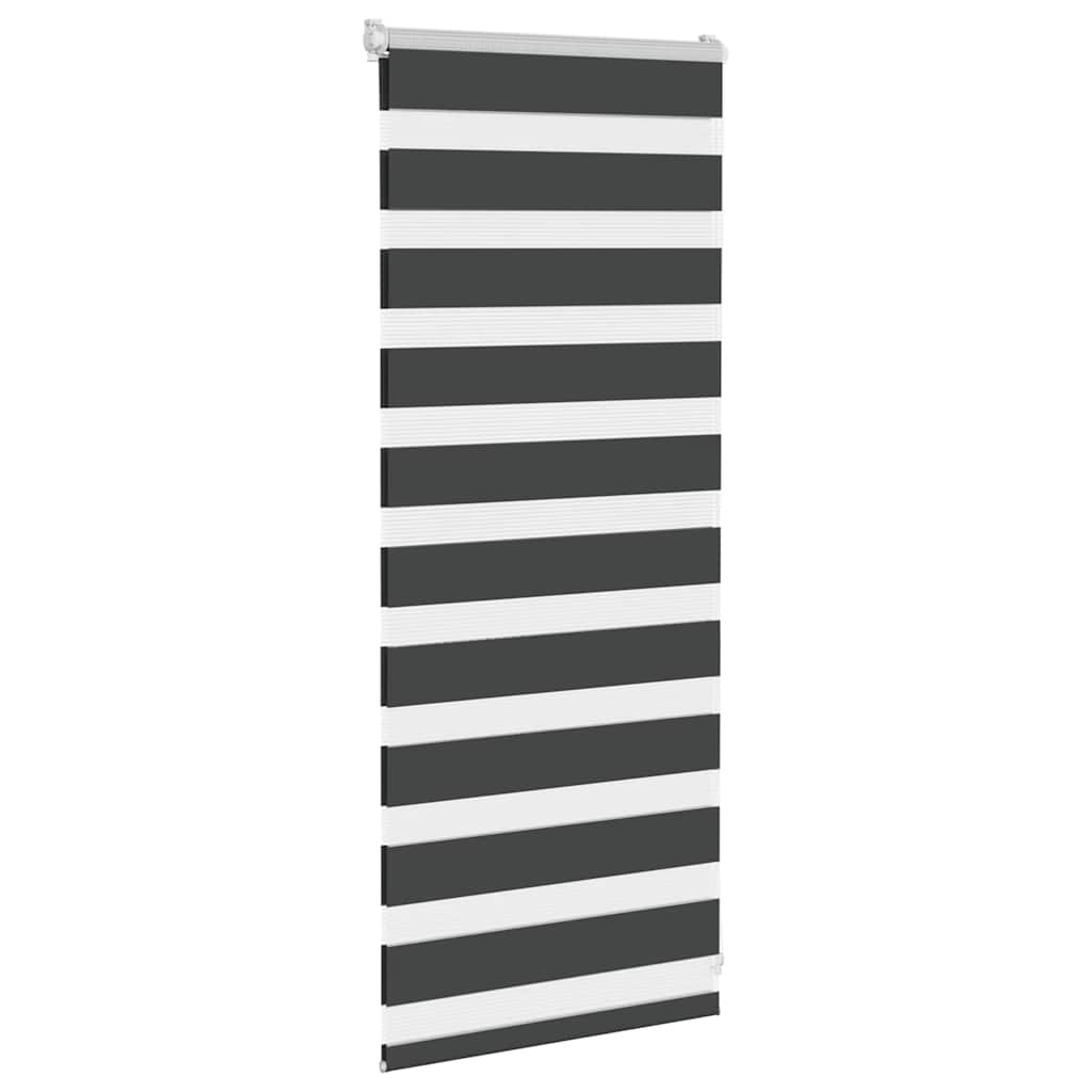 Vidaxl Zebra Rouleau aveugle 60x100 cm Largeur de poussière noir 55,9 cm