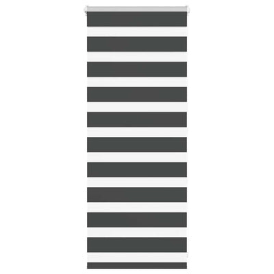 Vidaxl Zebra Rouleau aveugle 65x100 cm Largeur de tissu 60,9 cm noir