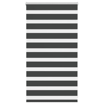 Vidaxl Zebra Rouleau aveugle 70x100 cm Largeur de poussière 65,9 cm noir