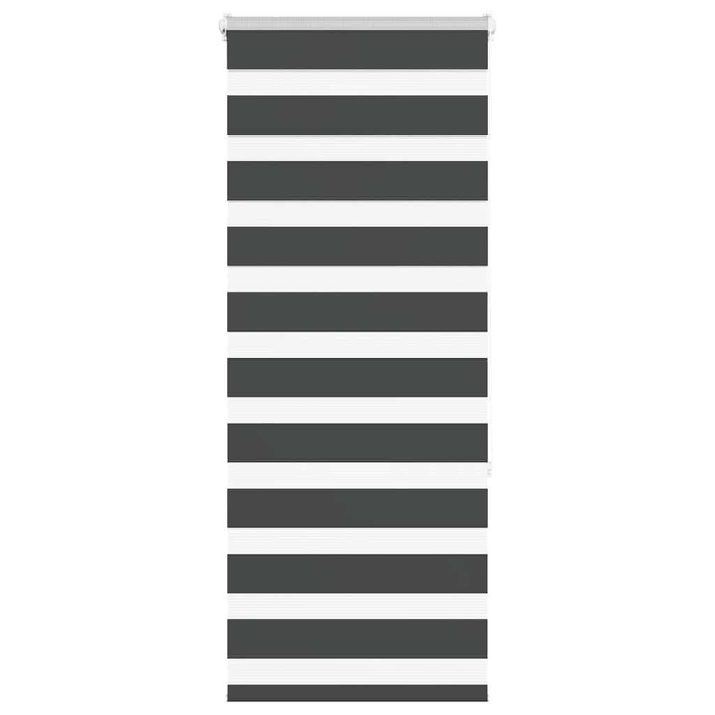 Vidaxl Zebra Rouleau aveugle 55x150 cm Largeur de poussière 50,9 cm noir