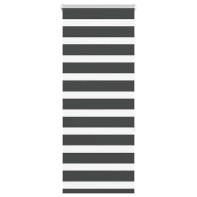 Vidaxl Zebra Rouleau aveugle 65x150 cm Largeur de poussière 60,9 cm noir