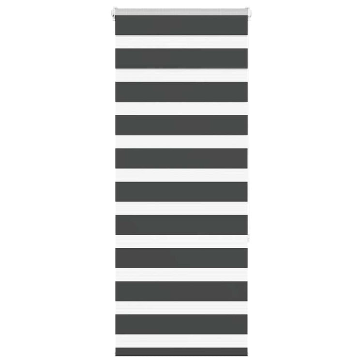 Vidaxl Zebra Rouleau aveugle 65x150 cm Largeur de poussière 60,9 cm noir