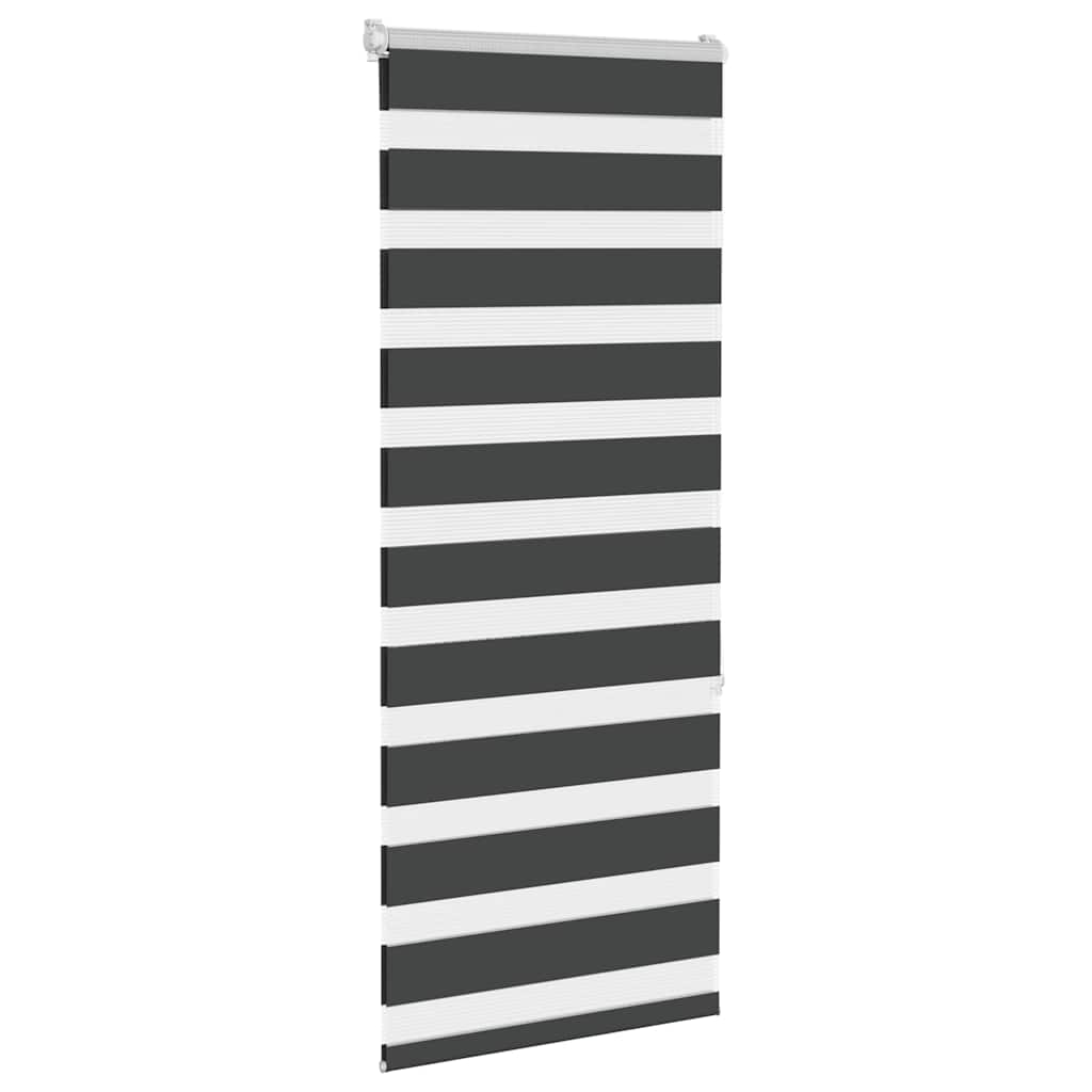 Vidaxl Zebra Rouleau aveugle 65x150 cm Largeur de poussière 60,9 cm noir