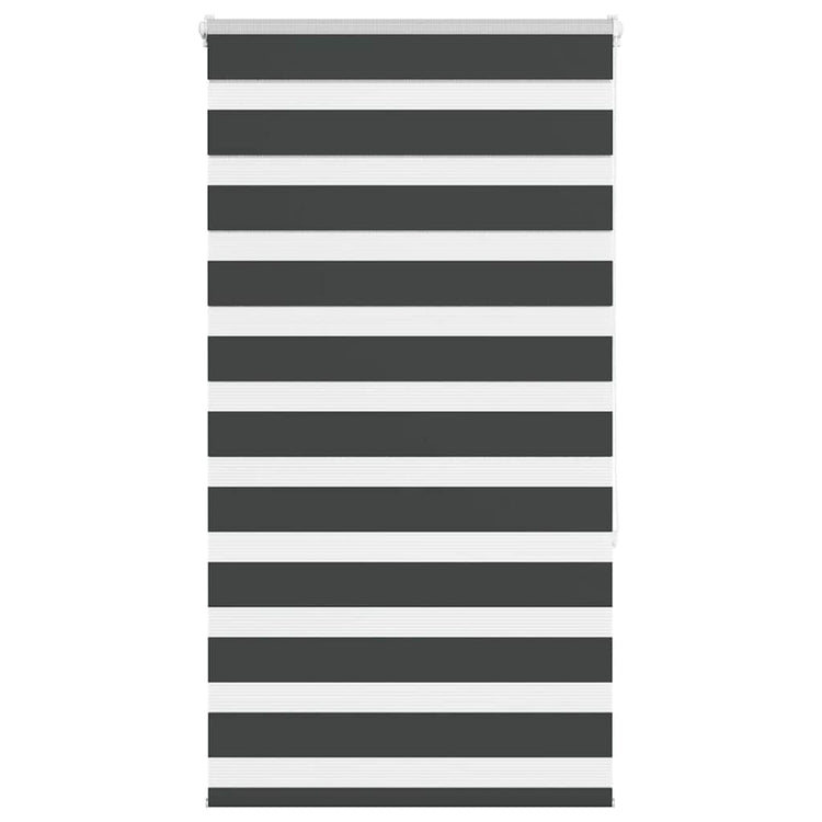 Vidaxl Zebra Rouleau aveugle 70x150 cm Largeur de poussière 65,9 cm noir